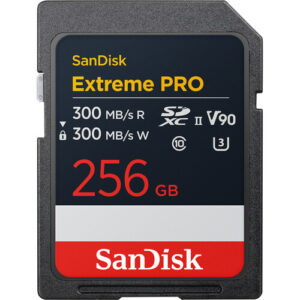 256GB SD XC Extreme PRO UHS-II Memory Card